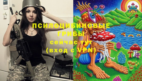 ешки Алексеевка
