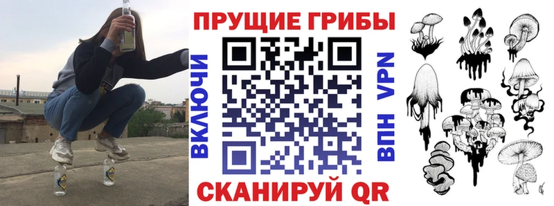 Галлюциногенные грибы GOLDEN TEACHER  Купить  Владимир 