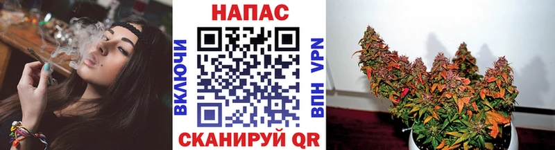 Купить где  Владимир  Бошки Шишки сатива 